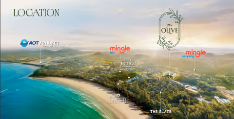 The Olive photo 2