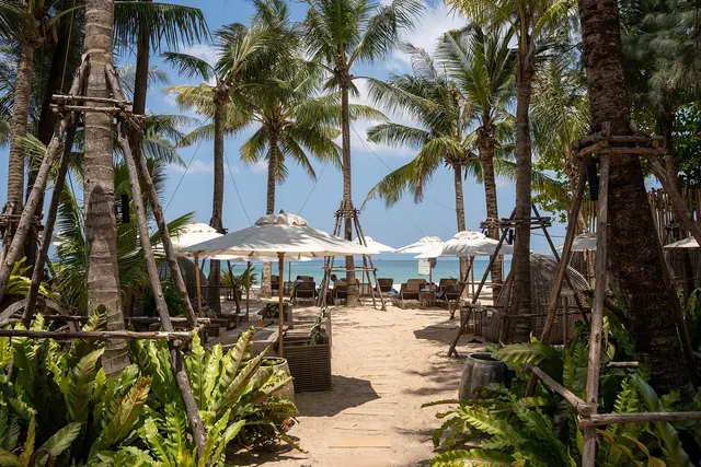Beach-club walkway under coconut palms with white parasols at Bang Tao beach, Phuket
