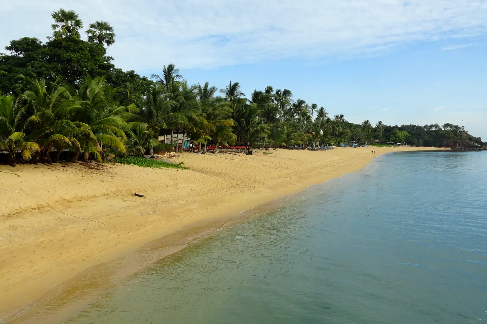 Maenam beach, Koh Samui - palm-lined golden sand and a forested headland